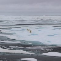 13 - Aikaterini Tavri